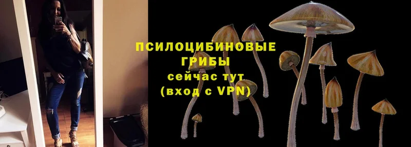 Галлюциногенные грибы GOLDEN TEACHER  hydra зеркало  Починок  мориарти как зайти  где продают наркотики 